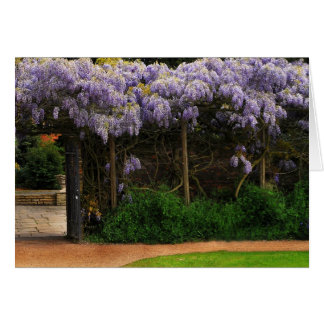 Muur van Wisteria