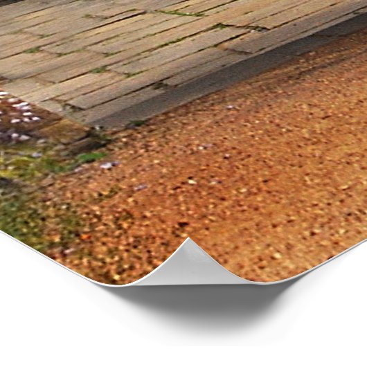 Muur van Wisteria Poster (Hoek)