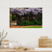 Muur van Wisteria Poster (Keuken)
