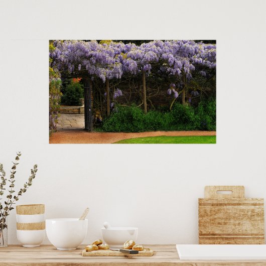 Muur van Wisteria Poster (Keuken)