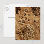 Muuransichtkaart Briefkaart (Voorkant / Achterkant)