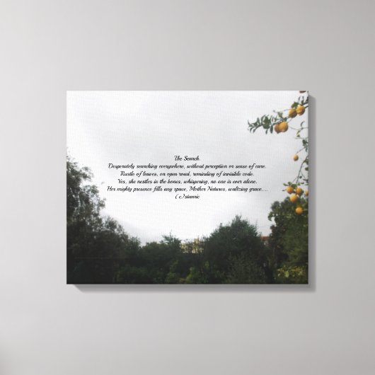 MUURCANVAS DE ZOEKGEDICHTENSTIJL CANVAS AFDRUK (Voorkant)