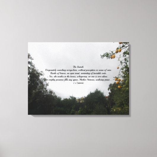 MUURCANVAS DE ZOEKGEDICHTENSTIJL CANVAS AFDRUK (Voorkant)