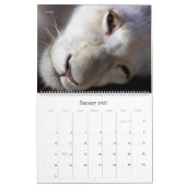Muurkaleender - Schoonheid door HAMbyWG Kalender (Jan 2027)