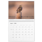 Muurkalender 2020 - Wilde dieren en landschappen Kalender (Mar 2026)