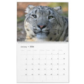 Muurkalender met foto's van wilde katten kalender (Jan 2026)