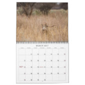 Muurkalender Namibië 2013 Kalender (Mar 2027)