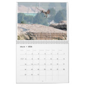 Muurkalender "Pelly - One Summer on Lake Erie" Kalender (Mar 2026)