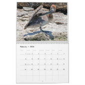 Muurkalender "Pelly - One Summer on Lake Erie" Kalender (Feb 2026)