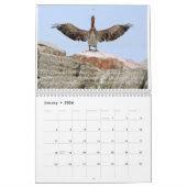 Muurkalender "Pelly - One Summer on Lake Erie" Kalender (Jan 2026)