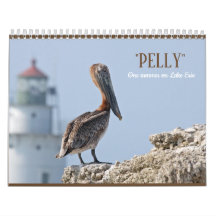 Muurkalender "Pelly - One Summer on Lake Erie"