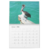 Muurkalender VAN FLORIDA Kalender (Jan 2026)