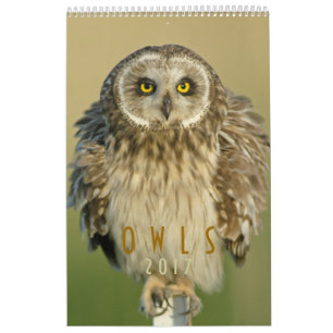 Muurkalender voor 2017 voor struikvogels kalender