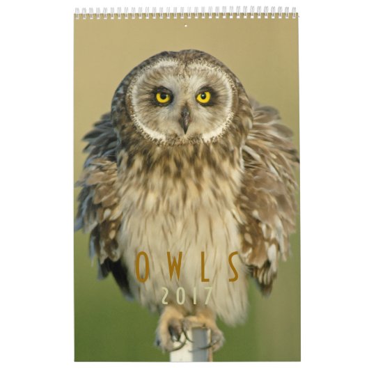 Muurkalender voor 2017 voor struikvogels kalender (Hoes)
