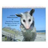 Muurkalender voor ambassadeurs 2011 kalender (Hoes)