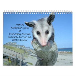 Muurkalender voor ambassadeurs 2011 kalender