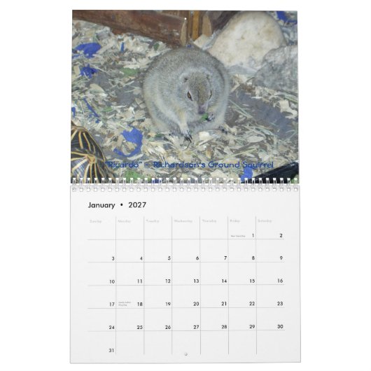 Muurkalender voor ambassadeurs 2011 kalender (Jan 2027)