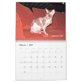 Muurkalender voor ambassadeurs 2011 kalender (Feb 2027)