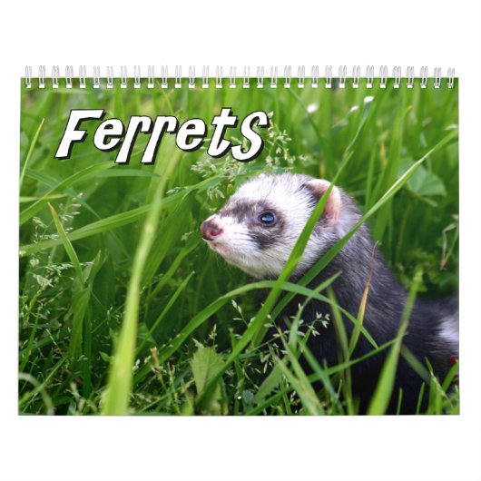 Muurkalender voor fretten kalender (Hoes)
