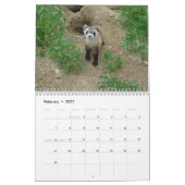 Muurkalender voor fretten kalender (Feb 2027)