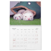 Muurkalender voor fretten kalender (Mar 2027)