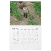 Muurkalender voor fretten kalender (Feb 2026)
