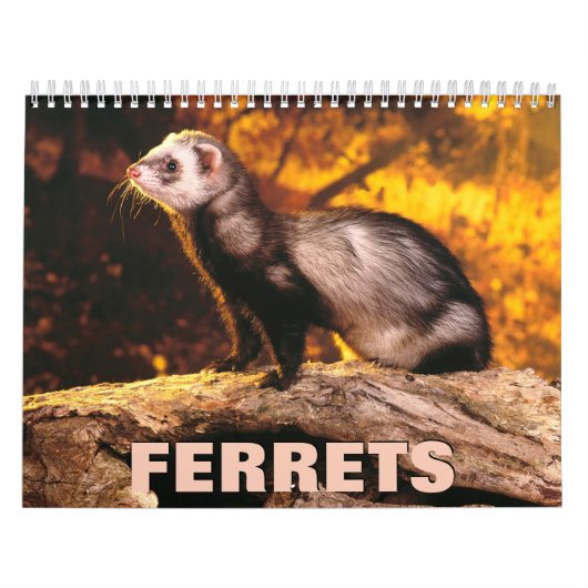 Muurkalender voor fretten kalender (Hoes)