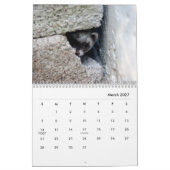 Muurkalender voor fretten kalender (Mar 2027)
