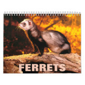 Muurkalender voor fretten kalender (Hoes)