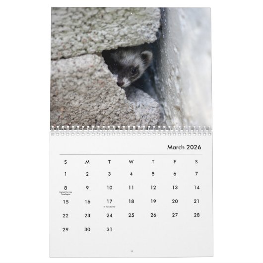 Muurkalender voor fretten kalender (Mar 2026)