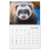 Muurkalender voor fretten kalender (Jan 2026)