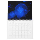 Muurkalender voor kwallen 2017 kalender (Feb 2027)