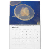 Muurkalender voor kwallen 2017 kalender (Mar 2027)
