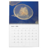 Muurkalender voor kwallen 2017 kalender (Mar 2026)