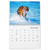 Muurkalender voor tigers kalender (Feb 2026)
