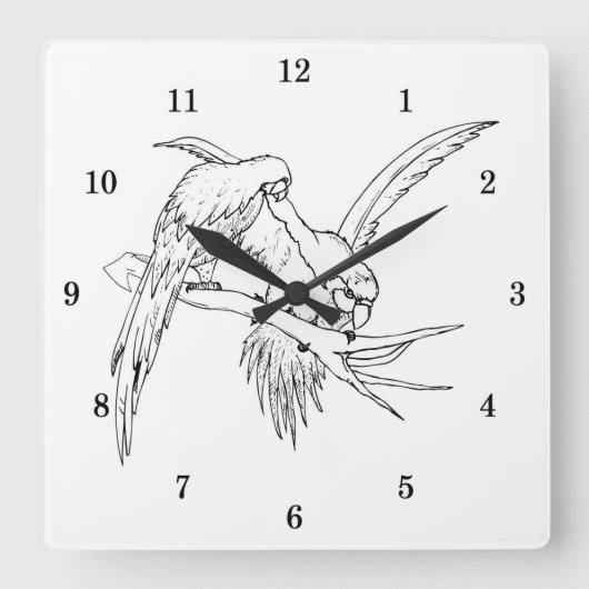 Muurkast voor zeer wollige parrots vierkante klok (Voorkant)