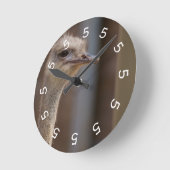 Muurklok van 5 uur in Ostrich Ronde Klok (Hoek)