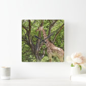 Muurklok van dierlijke Giraffe Vierkante Klok (Huis)