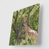 Muurklok van dierlijke Giraffe Vierkante Klok (Hoek)