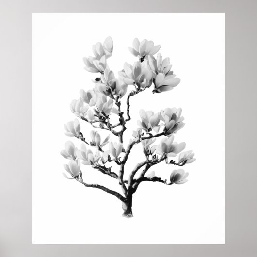 Muurkunst & Decor Poster (Voorkant)