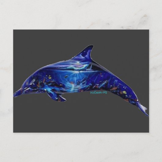 Muurschildering in Dolfijn Briefkaart (Voorkant)