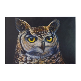 muurschildering-uil acryl muurkunst