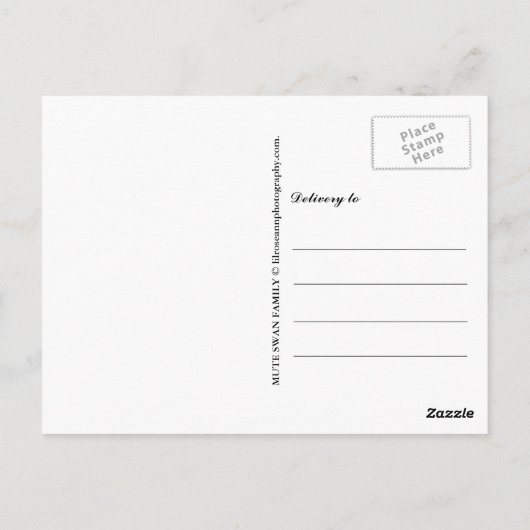 Muute Swan Family Briefkaart (Achterkant)