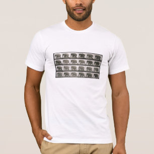 Muybridge's olifanten t-shirt