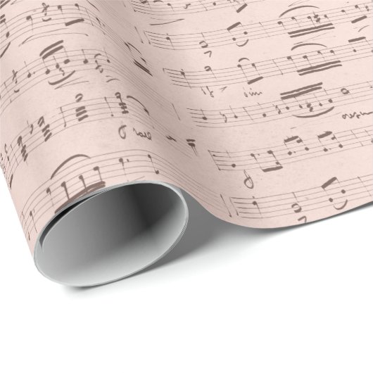 Muziek  Blauw Roze Musical Notes Cadeaupapier (Rol Hoek)