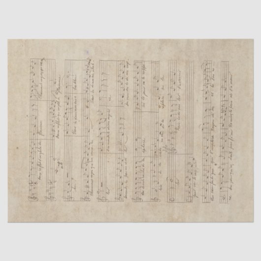 Muziek en Rozen Serie Design 9 Tissuepapier (Voorkant)