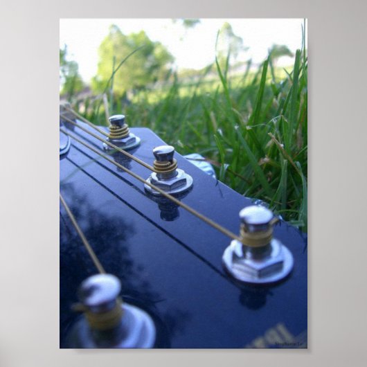 Muziek in Natuur Poster (Voorkant)
