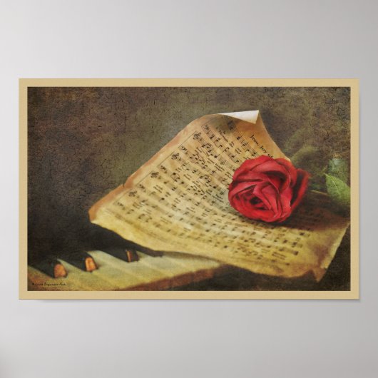 Muziek is Joy Poster (Voorkant)