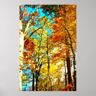 Muziek is kunstregenbogen poster