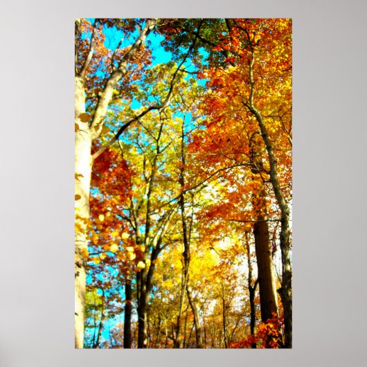 Muziek is kunstregenbogen poster (Voorkant)